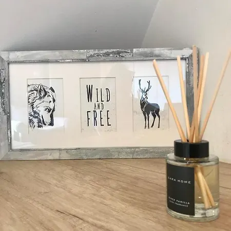 Nevski Διαμέρισμα *