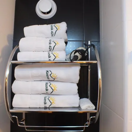 Appartement Nevski *